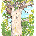 Tour Aotearoa - Tane Mahuta